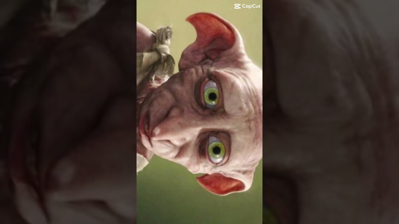 these are Hogwarts characters from the movie that it can only find and name ￼￼