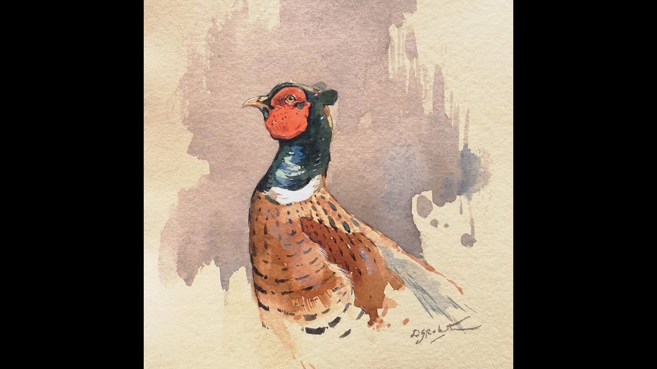 Derek Robertson - Pheasant portrait watercolor demo