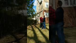 Guys cut down tree then run away as the tree falls and one guy gets stuck and taken down by rope