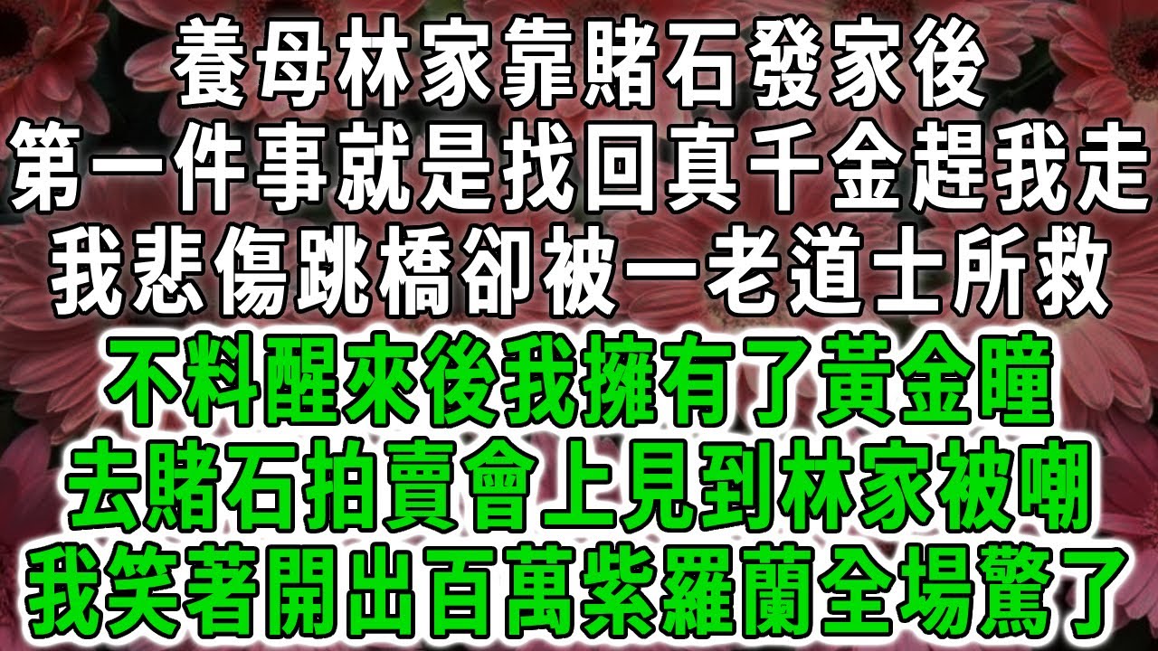 養母林家靠賭石發家後，第一件事就是找回真千金趕我走，我悲傷跳橋卻被一老道士所救，不料醒來後我擁有了黃金瞳，去賭石拍賣會上見到林家被嘲，我笑著開出百萬紫羅蘭全場驚了！#荷上清風 #爽文