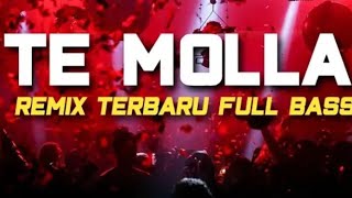 DJ TE MOLLA REMIX TERBARU 2020