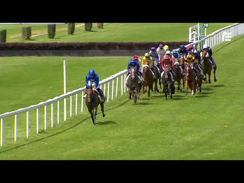 Haman Ville - Quinté+ - Dieppe - 22/07/19 - Haman Ville - Quinté+ - Dieppe - 22/07/19