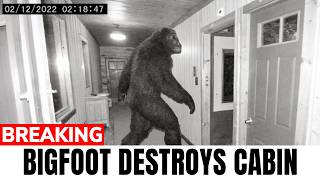 Bigfoot Tears Apart Cabin on Thanksgiving 2024!