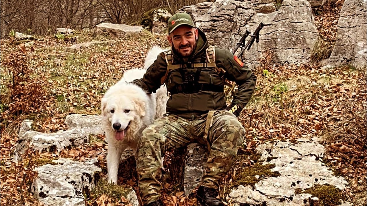 PASTORE MAREMMANO IN LESSINIA #pastoremaremmano #maremmano #lessinia