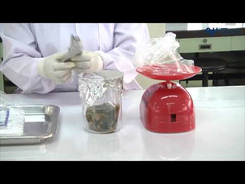 Microbiology Lab Practical Microbiological analysis of food sample Aerobic Plate Count