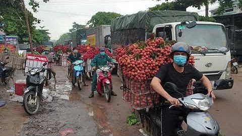 5 Cửa Tập Trung Cân Loại Vải Thiều Loại 1 , Giá Đỉnh l Vải Thiều Lục Ngạn Bắc Giang