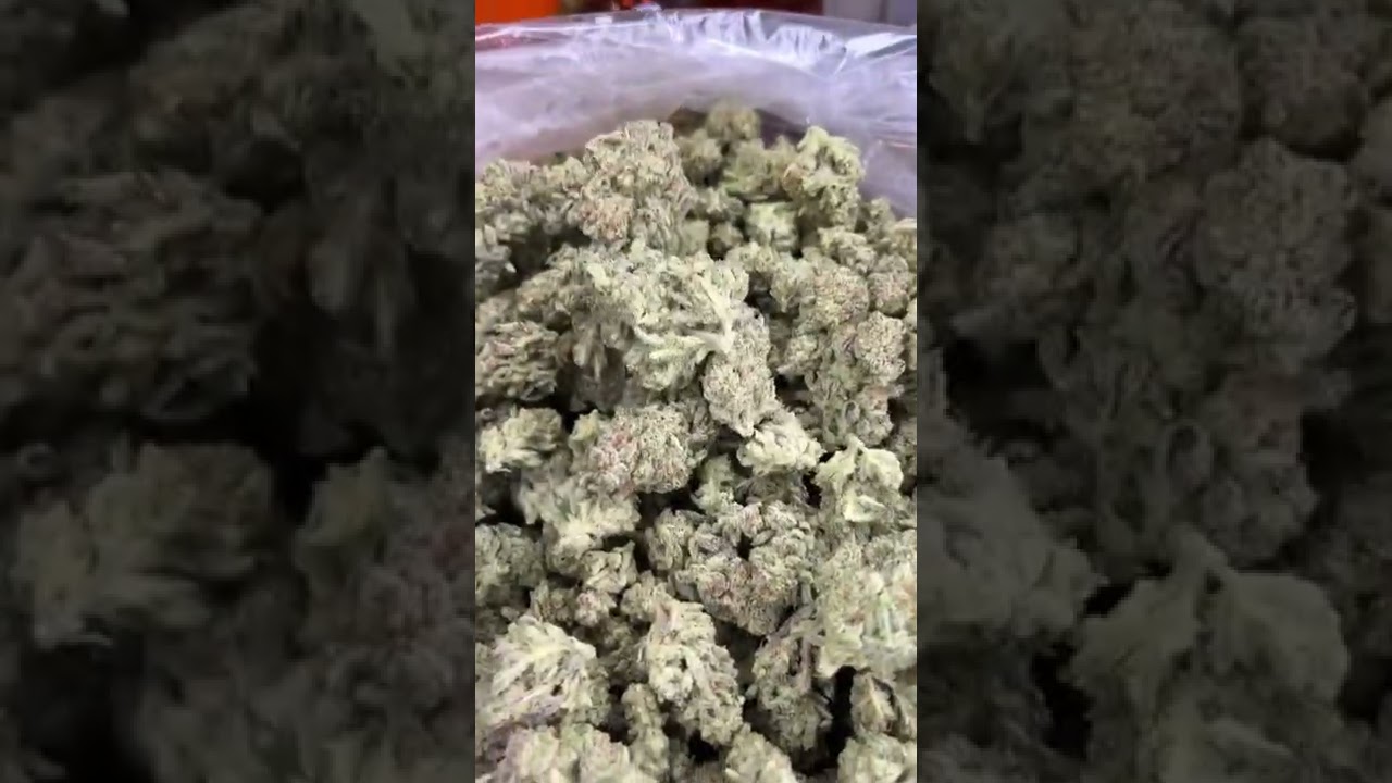 MAC miracle alien cookies