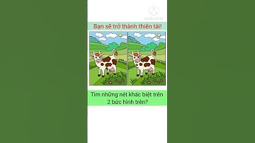Tìm ra điểm khác biệt giữa 2 bức tranh trong 5 giây? | Tri Thức #shorts