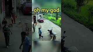 Camera dogs and dogs #animals #pets #shorts