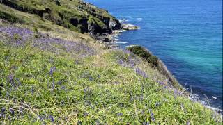 St Ives to Zennor on the Coastal Path