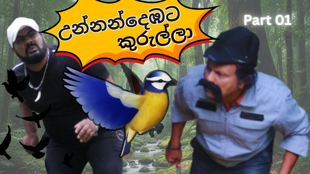 🐦🧐 උන්නන් දෙඹට කුරුල්ලා🐦🧐