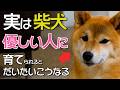 優しい飼い主に育てられた柴犬はだいたい→こうなる　【#513】