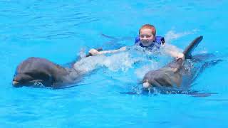 Riding Dolphins Mexico 2023 - Part 2