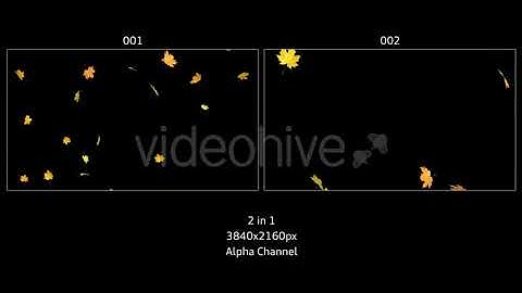 Autumn Leaves Falling | Motion Graphics - Envato elements