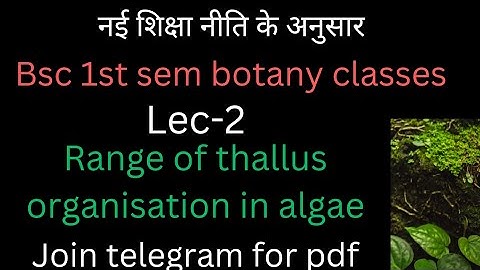 LEC -2| BSC 1st sem botany classes|Range of thallus organisation in algae|unit-3 {Phycology}|2023