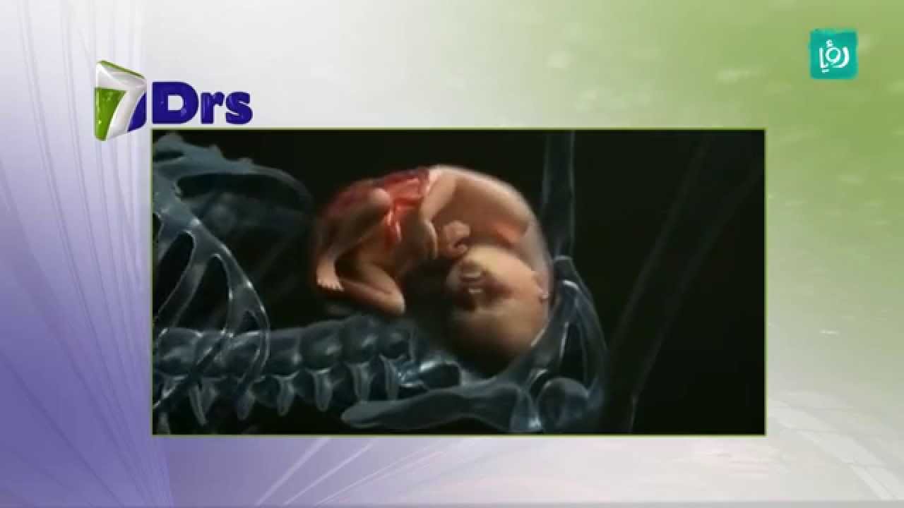 التشوهات الخلقية في الرحم - الأطباء السبعة - ج 4