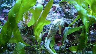 DSCF3002.AVI