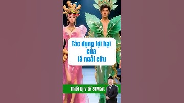 Ngải Cứu – Vị Thuốc Vàng , Thần Dược Cho sức khỏe