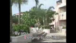 My Souls Desire  Daniece Williams 