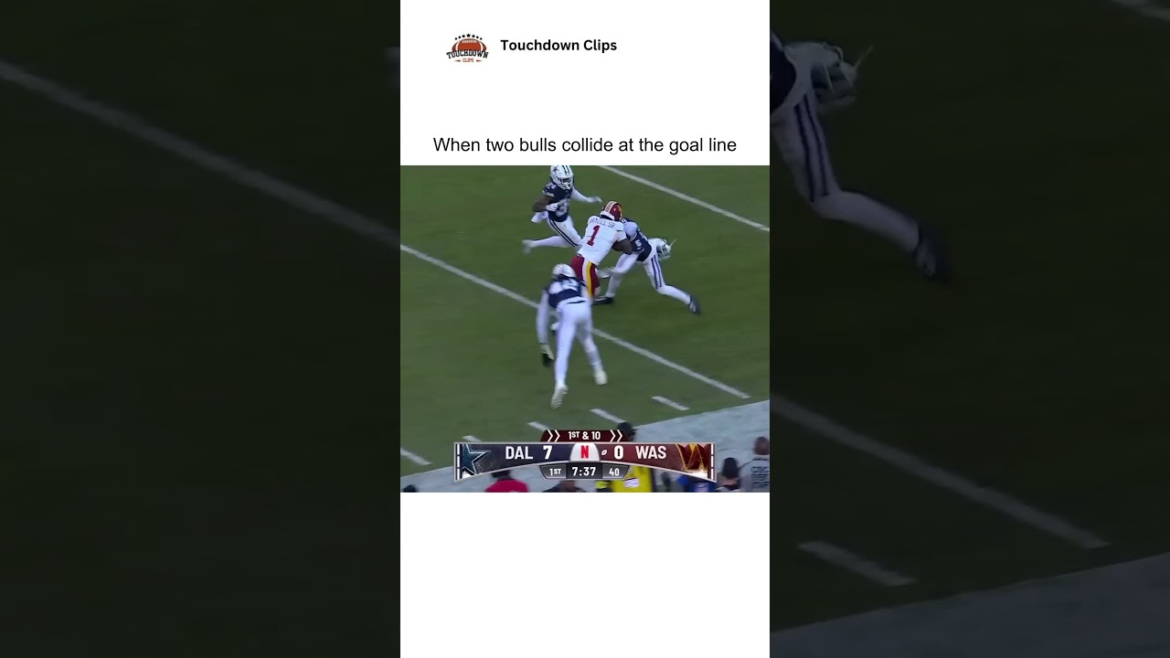 When two bulls collide at the goal line