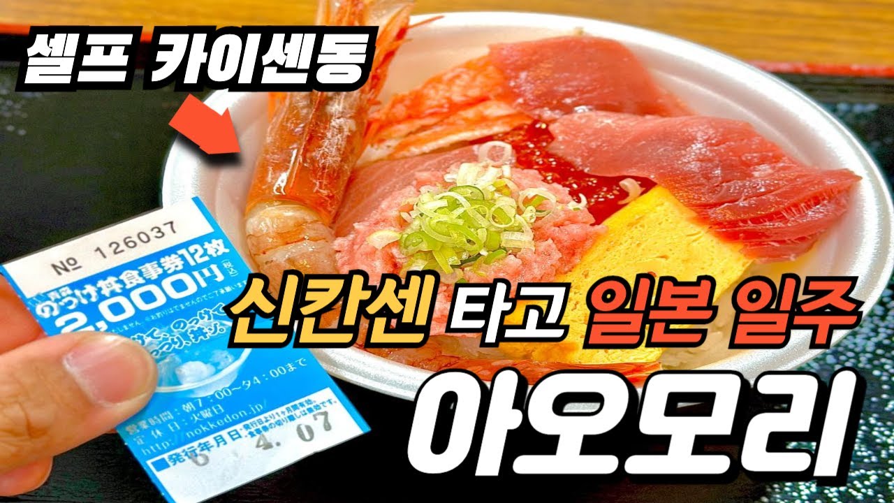 도호쿠 3대 축제가 열리는 아오모리 여행! 신칸센 타고 일본 일주! | 4K | 네부타 와랏세| 아오모리 교사이 센터 | 히로사키성 | 놋케동 | 일본 꿀팁 | 카이센동