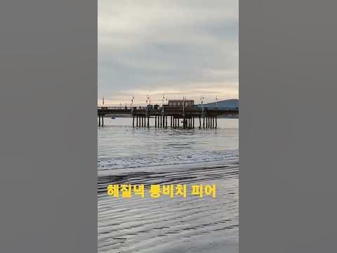 #가을날 롱비치#롱비치 피어#long beach# shorts - YouTube