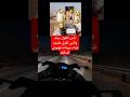 راما تركص بل مله ا راما الركابي عباس الركابي راما تركص بل مله ا راما الركابي عباس الركابي