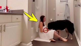 A wife locks herself in the bathroom with her dog until one day her husband notices something shocki