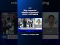 Why commercial adoption of humanoid robots is still lagging