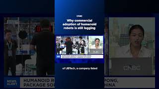 Why commercial adoption of humanoid robots is still lagging