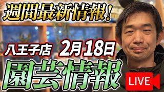 【最新情報】2月18日 グリーンギャラリーガーデンズ入荷情報を一挙公開!