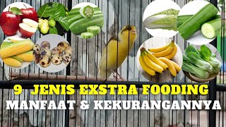 9 types of extra food for canaries based on their benefits and drawbacks, don't choose the wrong ...