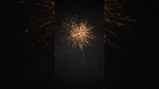 Gold #diwali #skyshot #sonyvinayaga #patakhe #crackers #fireworks #yt #trending #viral #shorts