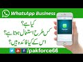 What Is Whatsapp Business Account