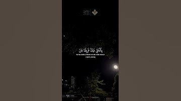 تلاوة هادئة للشيخ #المنشاوي #قرآن_كريم