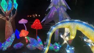 2025 Festival of Lanterns Central Florida Zoo   Part 3