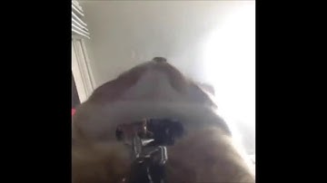 random and strange videos i have saved on my phone vol. 1