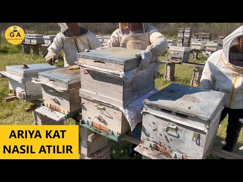 Arıya KAT atma nasıl yapılır. en basit kat atma şekli. Beekeeping. arıcılık.