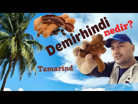 Demirhindi Nedir, Tamarind, Demirhindi'nin faydaları, Demirhindi şerbeti, Demirhindi bitkisi nedir