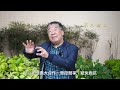 （字幕合成回顧）劉夢熊：繼委內瑞拉總統馬杜羅被抓，近日伊朗獨裁者哈梅內伊被斬首，包括40多名高官被擊斃，伊朗神權政權咎由自取，民眾上街載歌載舞（2026.3.1首播）