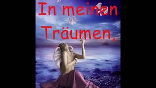 Blutengel Seelenschmerz(mit Lyrics)