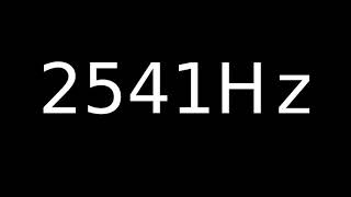 Speaker Sound Test 2541Hz
