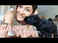 WE GOT A PUPPY + Market Haul | VLOG