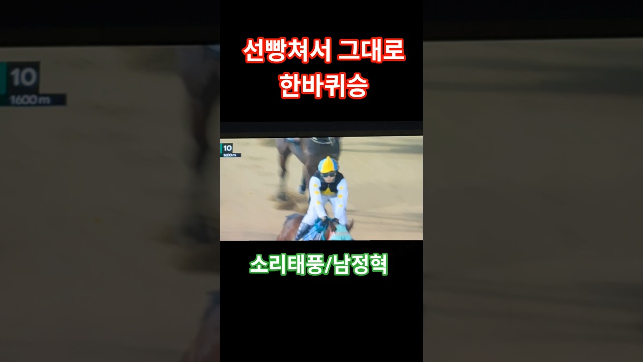 #신인기수 남정혁#경마 #말 # 달려라말 #shrots #horse