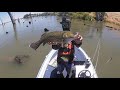 Murray Cod on Surface Lures! Lake Mulwala 2020