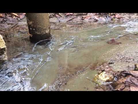 სულორის კურორტზე