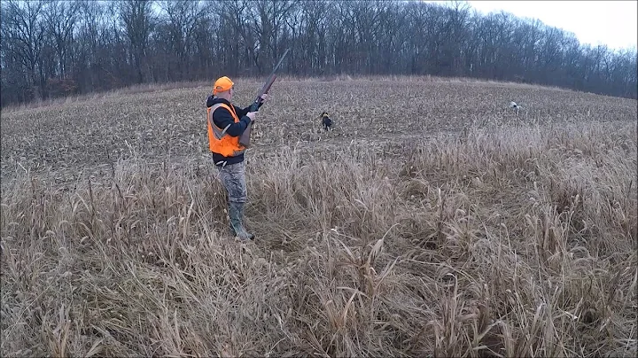 Shane, Reece, Seth and Forrest, Pheasant and Chuka...