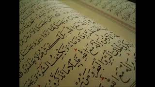 سورة النصر عبد الله المطرود