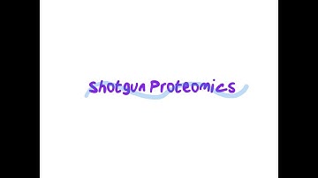 CHM4930 Shotgun Proteomics