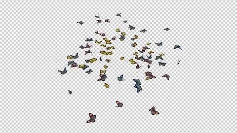 Butterflies - Colorful Swarm - Resizable Loop | Motion Graphics - Envato elements